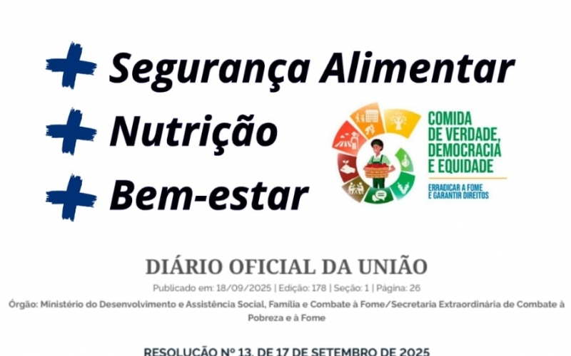 A Resolução, publicada pelo Ministério do Desenvolvimento e Assistência Social, Família e Combate à Fome, por meio da Se